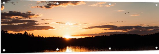 WallClassics - Tuinposter – Zonsondergang aan Bosrand - 150x50 cm Foto op Tuinposter  (wanddecoratie voor buiten en binnen)
