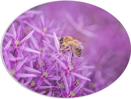 WallClassics - Panneau de mousse PVC ovale - Fleurs violettes avec abeille - 68x51 cm Photo sur ovale (avec système de suspension)