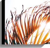 WallClassics - Canvas  - Bruine Palmbladeren - 30x30 cm Foto op Canvas Schilderij (Wanddecoratie op Canvas)