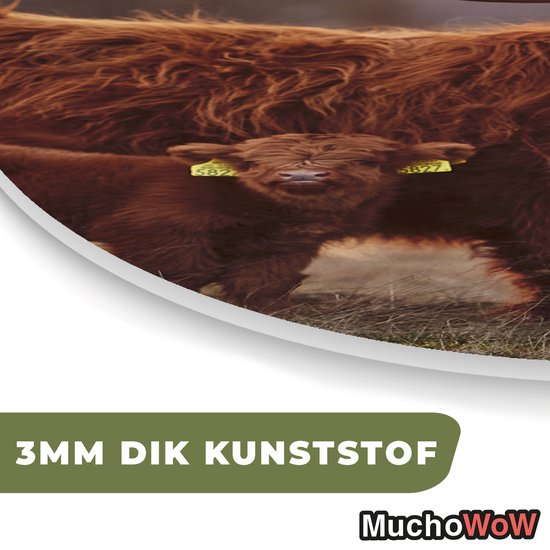 Wall Oval - Décoration murale en plastique - Peinture ovale - Highlander écossais - Animaux - Paysage - Coucher de soleil - 60x90 cm - Forme miroir ovale sur plastique