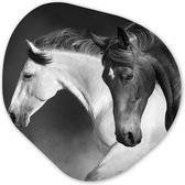 Organische Wanddecoratie - Kunststof Muurdecoratie- Organisch Schilderij - Paarden - Dieren - Zwart - Wit - Portret- 40x40 cm - Asymmetrische spiegel vorm op kunststof