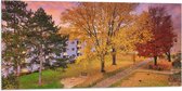 WallClassics - Drapeau - Arbres d'automne dans un village - 100x50 cm Photo sur Drapeau Polyester