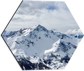 WallClassics - Dibond Hexagon - Sneeuw op Hoge Bergen - 40x34.8 cm Foto op Hexagon (Met Ophangsysteem)
