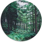 WallClassics - Dibond Muurcirkel - Dicht Begroeid Bos - 70x70 cm Foto op Aluminium Muurcirkel (met ophangsysteem)