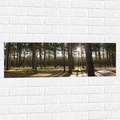 WallClassics - Muursticker - Wandelpaden in het Bos - 90x30 cm Foto op Muursticker