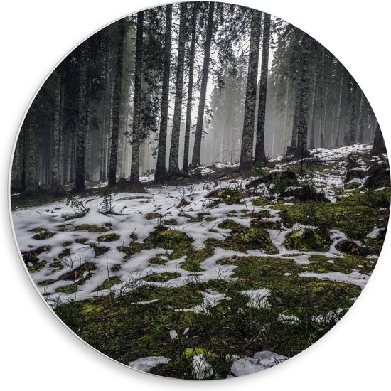 WallClassics - PVC Schuimplaat Muurcirkel - Smalle Bomen in Bos met Kleine Beetjes Sneeuw - 50x50 cm Foto op Muurcirkel (met ophangsysteem)