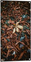 WallClassics - Tuinposter – Bruine Herfstbladeren - 50x100 cm Foto op Tuinposter  (wanddecoratie voor buiten en binnen)
