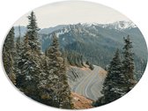 WallClassics - PVC Schuimplaat Ovaal - Hoge Bomen bij Weg in de Bergen - 80x60 cm Foto op Ovaal  (Met Ophangsysteem)