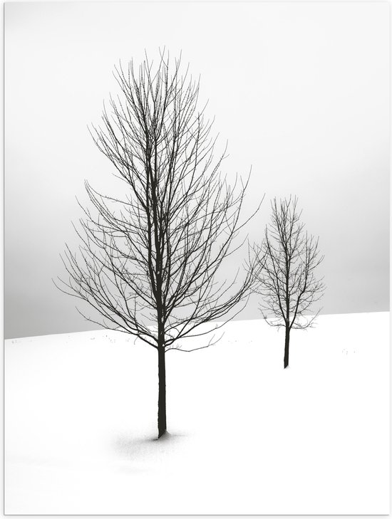 WallClassics - Poster (Mat) - Twee Kale Bomen in Sneeuwlandschap - 30x40 cm Foto op Posterpapier met een Matte look