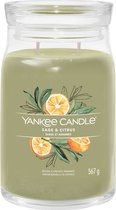 Yankee Candle - Grand pot signature Sage et agrumes