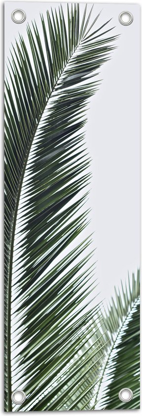 WallClassics - Tuinposter – Groene Palmtak tegen Witte Achtergrond - 20x60 cm Foto op Tuinposter  (wanddecoratie voor buiten en binnen)