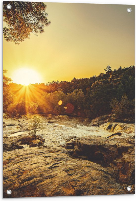 WallClassics - Tuinposter – Zon verdwijnend achter Bomen - 60x80 cm Foto op Tuinposter  (wanddecoratie voor buiten en binnen)