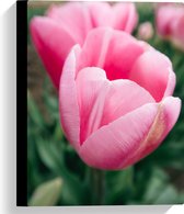 WallClassics - Canvas  - Close-up van Roze Bloem - 30x40 cm Foto op Canvas Schilderij (Wanddecoratie op Canvas)