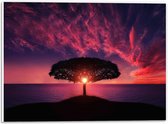 WallClassics - PVC Schuimplaat- Zon door Silhouet van Boom - 40x30 cm Foto op PVC Schuimplaat