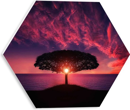 WallClassics - Feuille de mousse PVC Hexagone - Soleil à travers la silhouette d'un arbre - 30x26,1 cm Photo sur Hexagone (avec système de suspension)