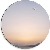 WallClassics - Dibond Muurcirkel - Vogel boven de Zee met Bergen bij Maan - 50x50 cm Foto op Aluminium Muurcirkel (met ophangsysteem)