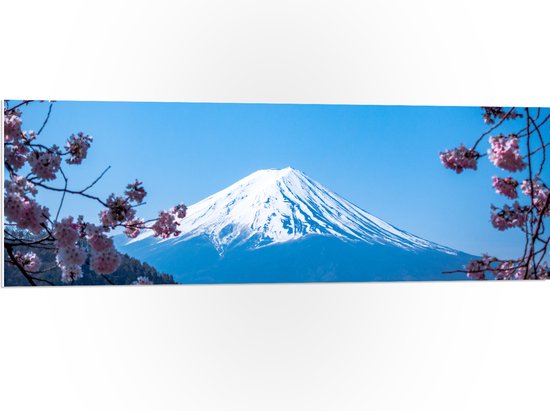 WallClassics - PVC Schuimplaat - Berg in de Verte met Roze Bloemen - 120x40 cm Foto op PVC Schuimplaat (Met Ophangsysteem)