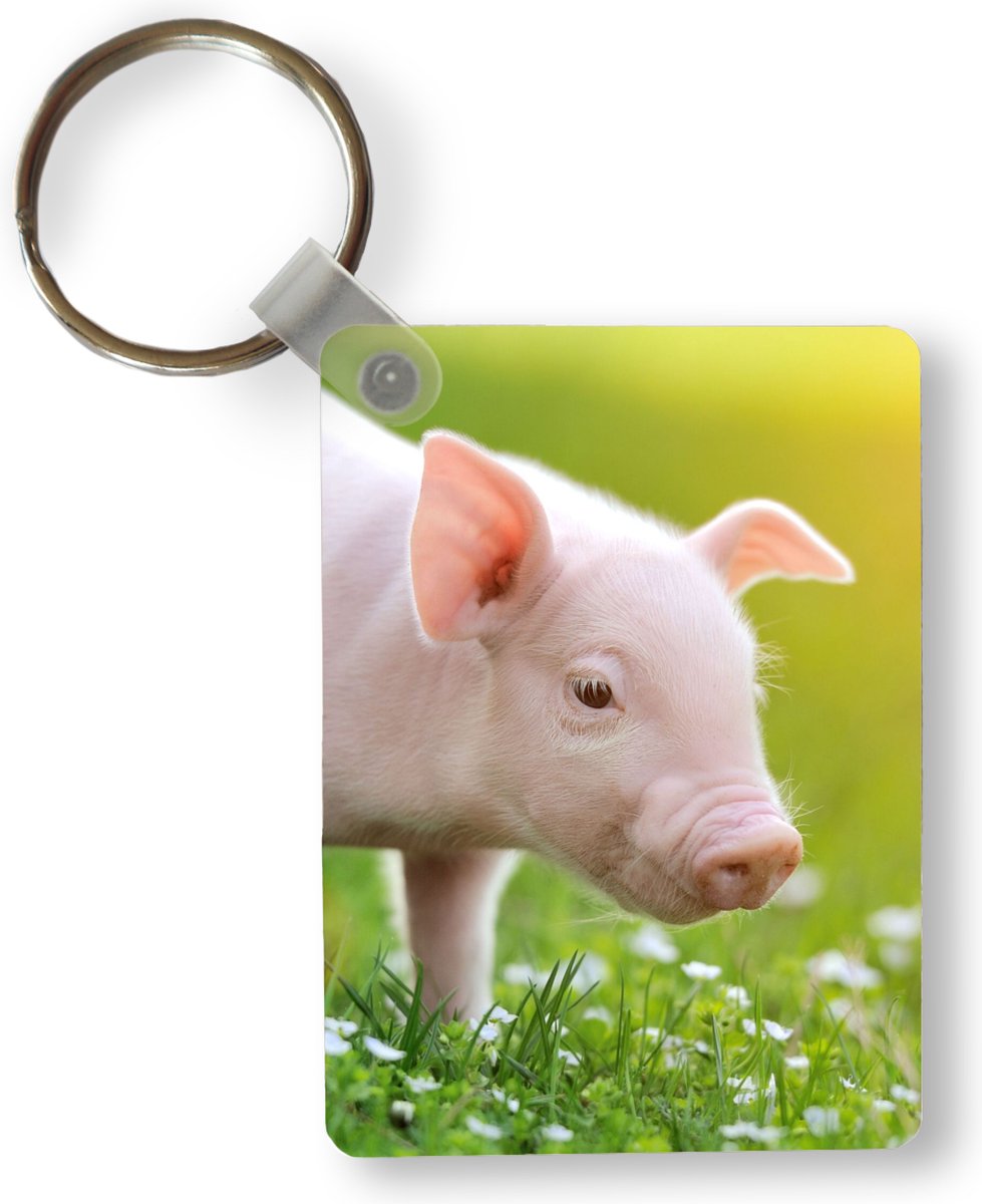 3 Stuks PVC Cartoon Dier Sleutelhanger, Dier Sleutelhanger met Mes