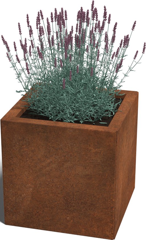 Cortenstaal boomring 75cm - Van der Wal HOUT Cortenstaal boomring 75cm - Van der Wal HOUT