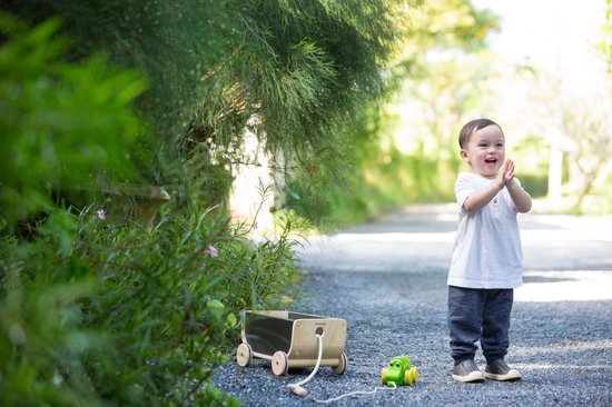 Plan Toys Wagon Noir