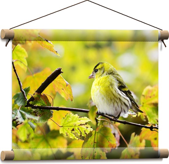 WallClassics - Textielposter - Geel Vogeltje op een Tak - 40x30 cm Foto op Textiel