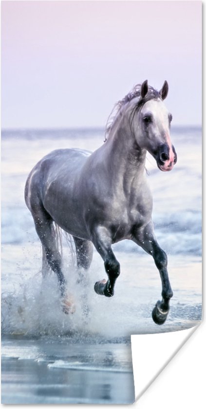 Poster Paard - Zee - Pastel