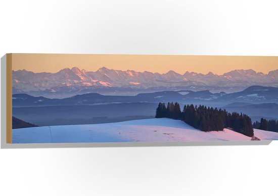 WallClassics - Hout - Heuvels en Bergen met Sneeuw - 90x30 cm - 12 mm dik - Foto op Hout (Met Ophangsysteem)
