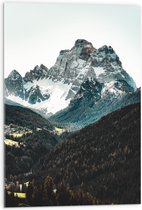 WallClassics - Acrylglas - Bomen bij Rotsachtige Bergen - 50x75 cm Foto op Acrylglas (Wanddecoratie op Acrylaat)