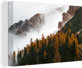 Canvas Schilderij Dennenboom - Herfst - Berg - landschap - 60x40 cm - Wanddecoratie