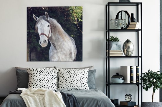 Tableau sur toile Cheval - Halter - Nature - 90x90 cm - Décoration murale