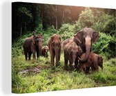 Canvas Schilderij Wilde olifanten - 60x40 cm - Wanddecoratie