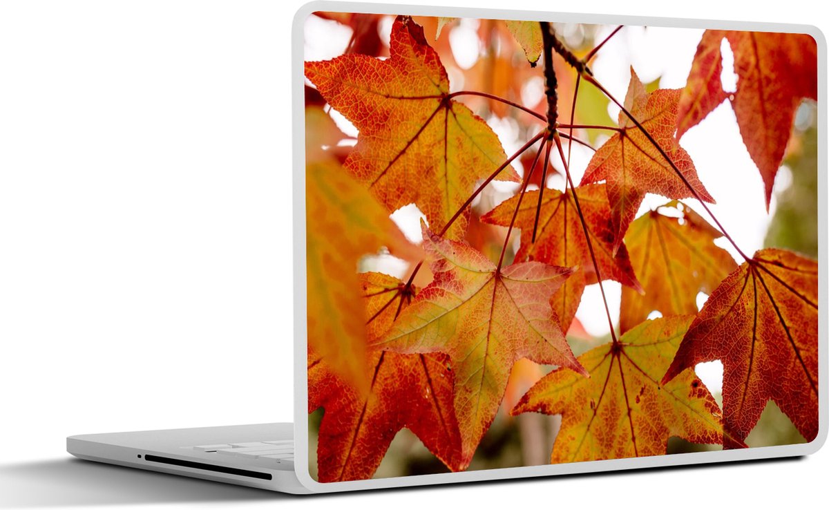 Laptop sticker - 11.6 inch - Herfsttakken - Bladeren - Seizoenen - Landelijk - 30x21cm - Laptopstickers - Laptop skin - Cover