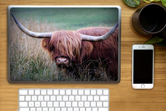 Laptop sticker - 15.6 inch - Schotse Hooglander - Hoorns - Gras - 36x27,5cm - Laptopstickers - Laptop skin - Cover
