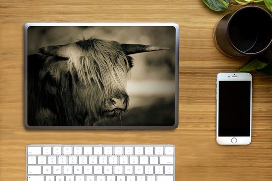 Sticker pour ordinateur portable - 10,1 pouces - Scottish Highlander - Animaux - Cheveux