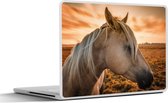 Laptop sticker - 17.3 inch - Paard - Dieren - Portret - 40x30cm - Laptopstickers - Laptop skin - Cover