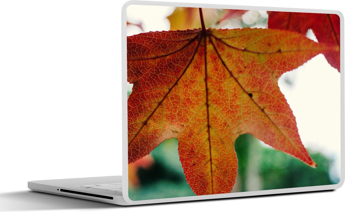 Laptop sticker - 12.3 inch - Herfst - Landelijk - Bladeren - Seizoenen - Landelijk - 30x22cm - Laptopstickers - Laptop skin - Cover