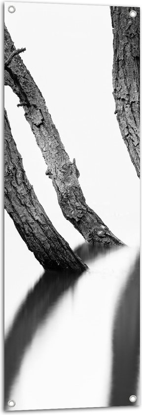 WallClassics - Poster de jardin - Troncs d'arbres étroits (noir/blanc) - 40x120 cm Photo sur Poster de jardin (décoration murale pour l'extérieur et l'intérieur)