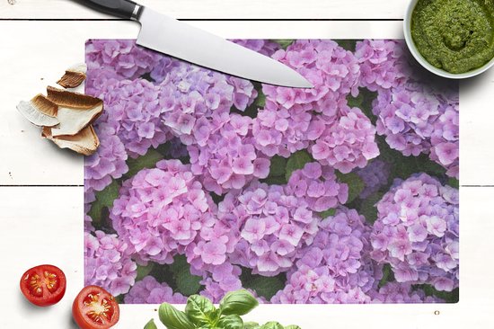 Motif Stationery! Flowers & Petals Blue Hydrangeas 50 Sheets DIN A5 - Paper- Media Motif Stationery! Flowers & Petals Blue Hydrangeas 50 Sheets DIN A5 - Paper- Media