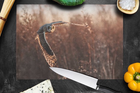 Planche à découper en Verres - 39x28 - Vogel - Hibou - Coucher de soleil - Nature - Planches à découper en Glas