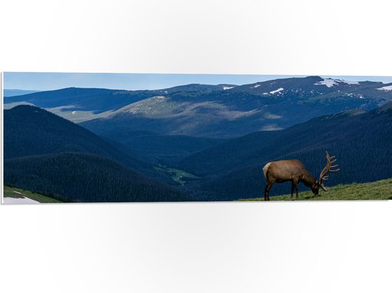 WallClassics - PVC Schuimplaat - Grazend Hert op Hoogste Berg van Berggebied - 90x30 cm Foto op PVC Schuimplaat (Met Ophangsysteem)