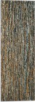 WallClassics - Vlag - Close-up van Boom - 20x60 cm Foto op Polyester Vlag