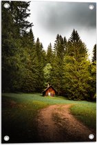 WallClassics - Tuinposter – Klein Houten Hutje bij Bomen - 40x60 cm Foto op Tuinposter  (wanddecoratie voor buiten en binnen)