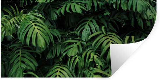 Stickers muraux - Film autocollant - Feuilles - Monstera - Abstrait - Filles - Filles - Enfants - 160x80 cm - Film adhésif - Stickers muraux Chambre d'enfant - Papier peint autocollant