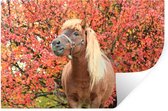 Muurstickers - Sticker Folie - Paard - Pony - Herfstbladeren - 90x60 cm - Plakfolie - Muurstickers Kinderkamer - Zelfklevend Behang - Zelfklevend behangpapier - Stickerfolie