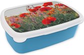 Lunch box Blauw - Lunch box - Boîte à pain - Coquelicot - Fleurs - Rouge - Violet - Prairie - 18x12x6 cm - Enfants - Garçon