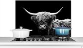 Spatscherm keuken - Muurbeschermer - Zwart - Wit - Schotse hooglander - Hoorn - Dieren - Koe - Koeien - Achterwand keuken - Spatwand - 80x55 cm