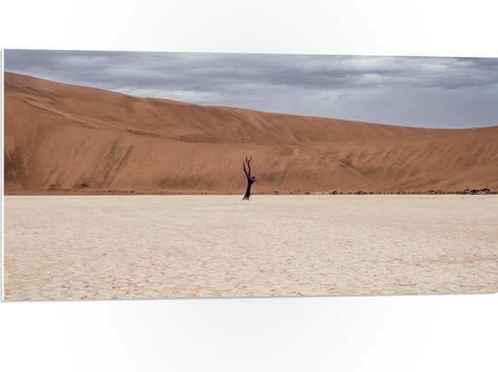 WallClassics - PVC Schuimplaat- Eenzame Boom in de Woestijn - 100x50 cm Foto op PVC Schuimplaat