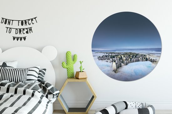 Manchots empereurs au dessus du ciel sombre Cercle mural aluminium ⌀ 140 cm