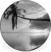 WallCircle - Wandcirkel - Muurcirkel - Overhangende palmboom op het strand van Mo'orea in zwart wit - Aluminium - Dibond - ⌀ 140 cm - Binnen en Buiten