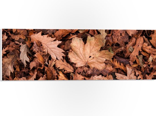 WallClassics - PVC Schuimplaat- Hoopje Herfstbladeren - 60x20 cm Foto op PVC Schuimplaat